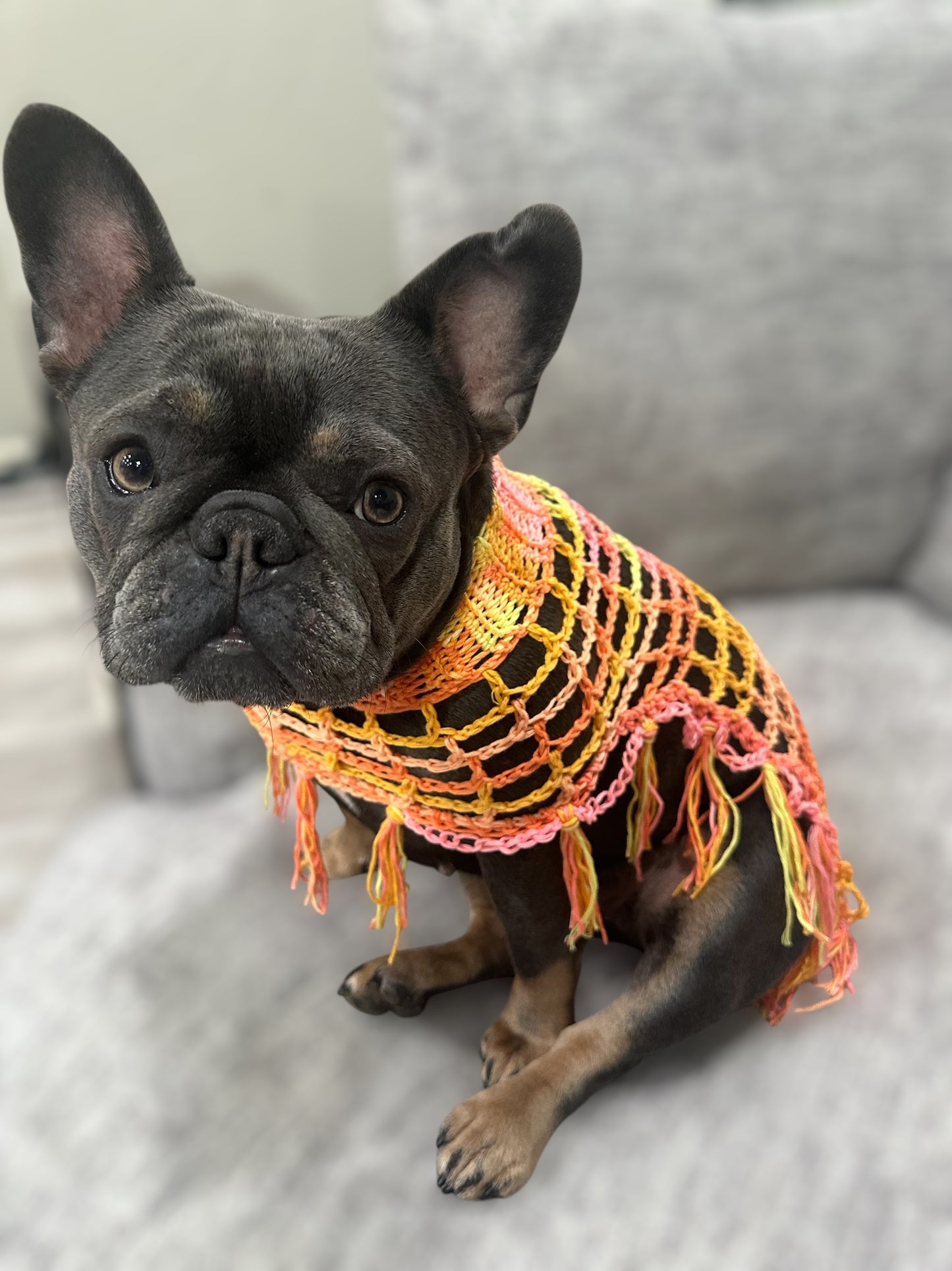 Crochet Dog Poncho - Sunset Sherbet