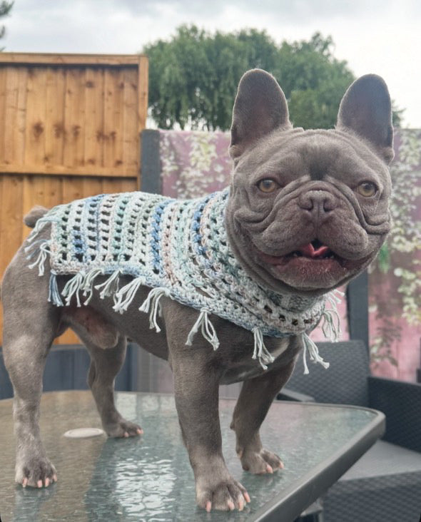 Crochet Dog Poncho - Aqua Mist