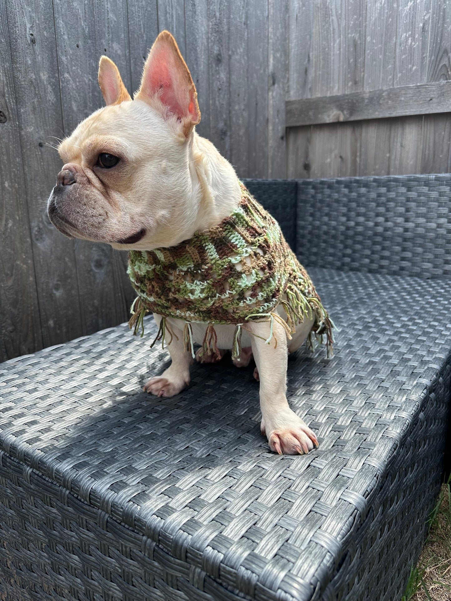 Crochet Dog Poncho - Camo