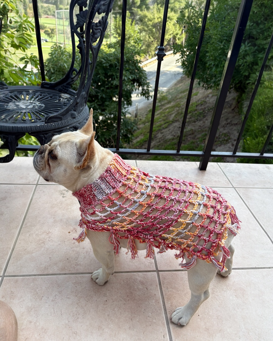 Crochet Dog Poncho - Rustic Charm