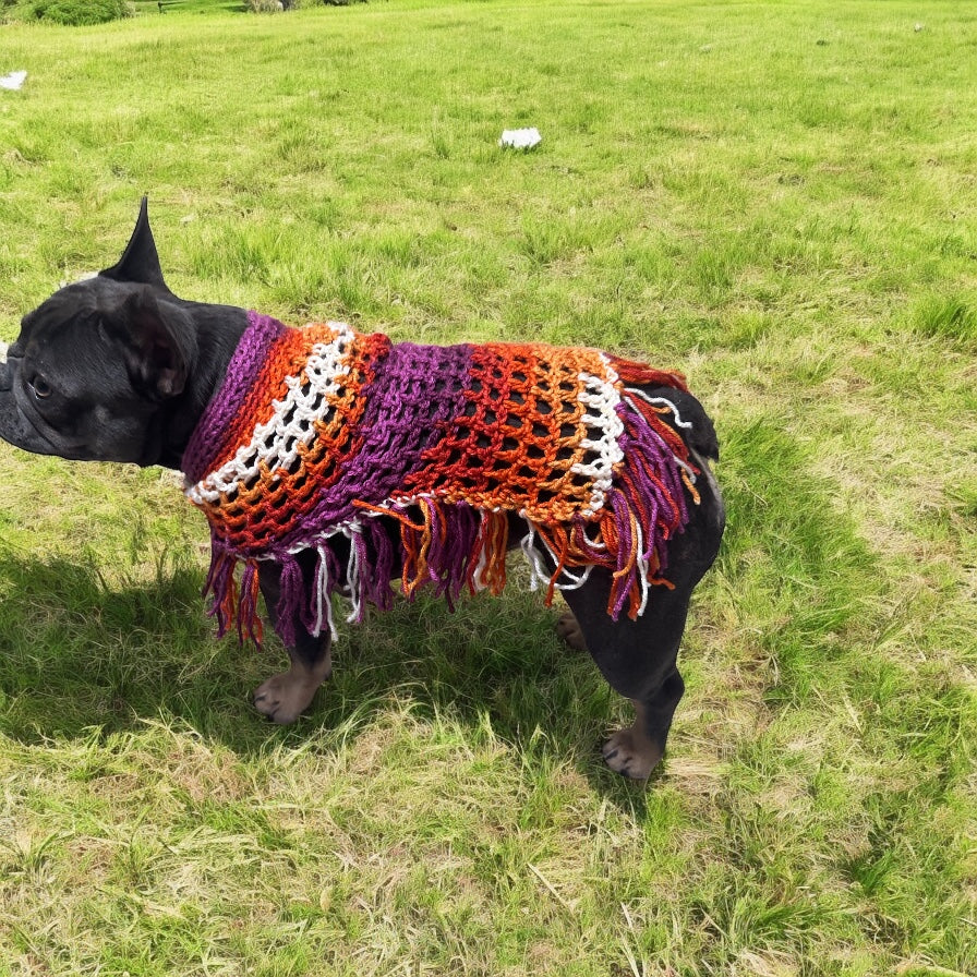 Crochet Dog Poncho - Summer Spirit