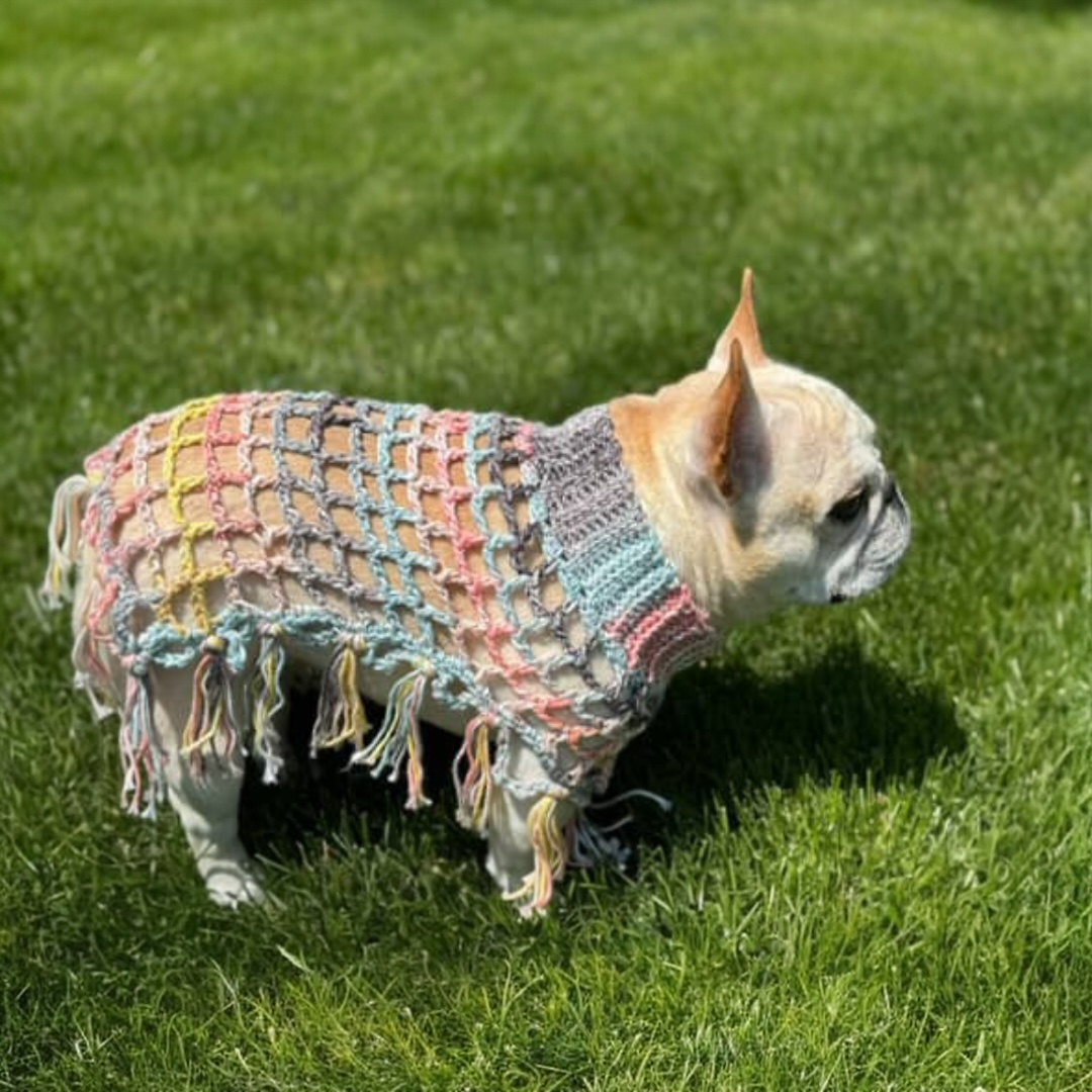 Crochet Dog Poncho - Summer Nights