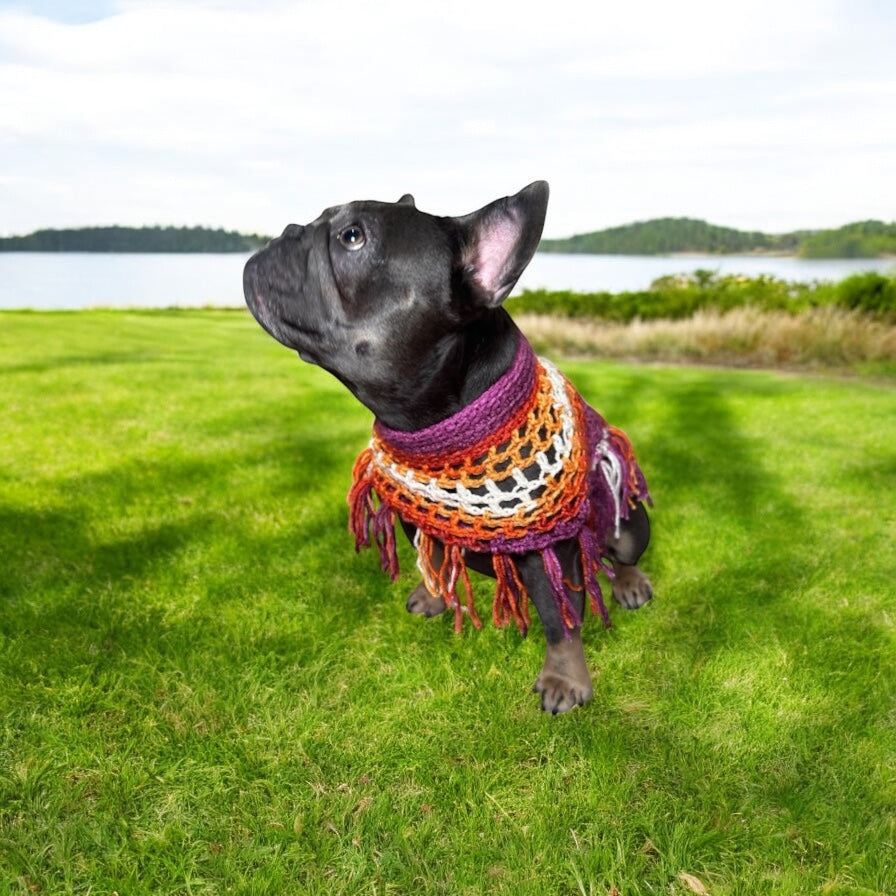 Crochet Dog Poncho - Summer Spirit