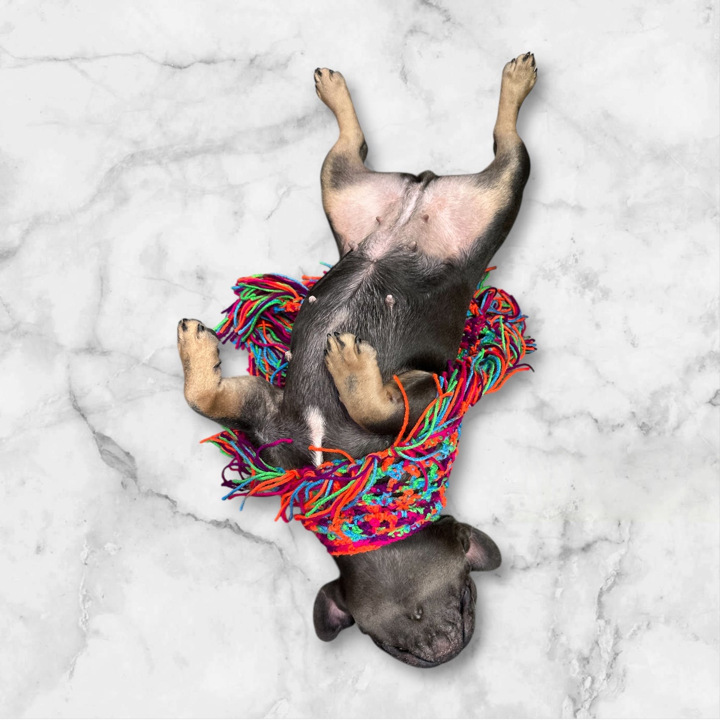Crochet Dog Poncho - Colorful Neon