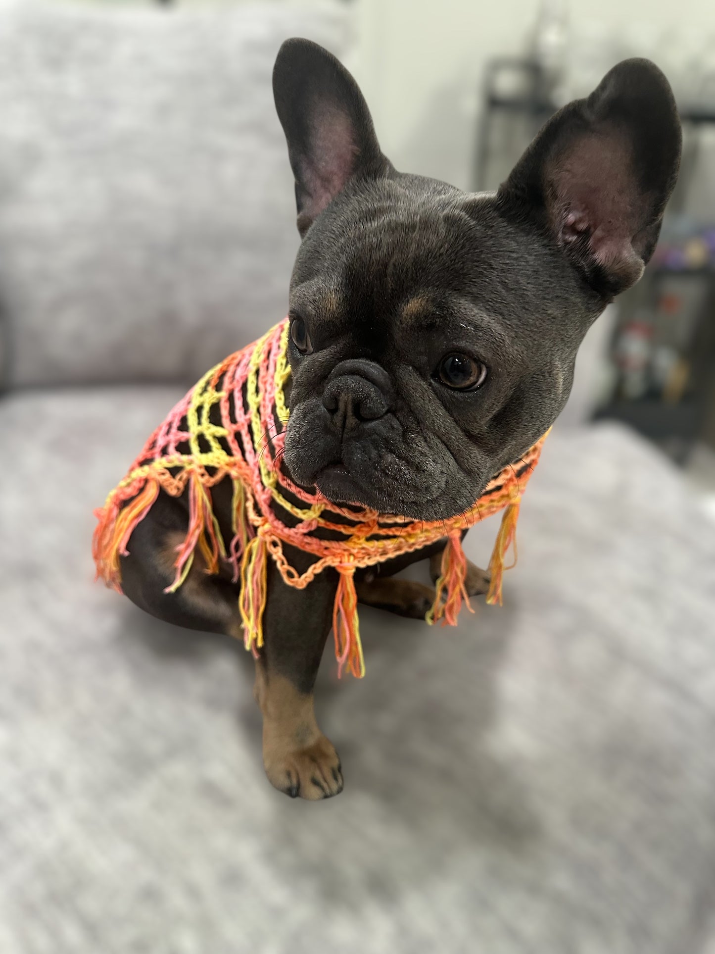 Crochet Dog Poncho - Sunset Sherbet