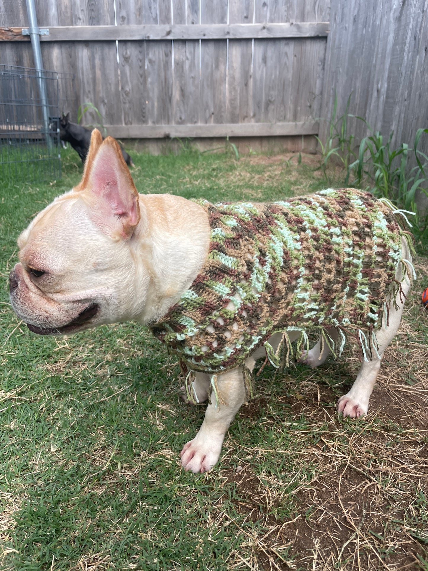 Crochet Dog Poncho - Camo