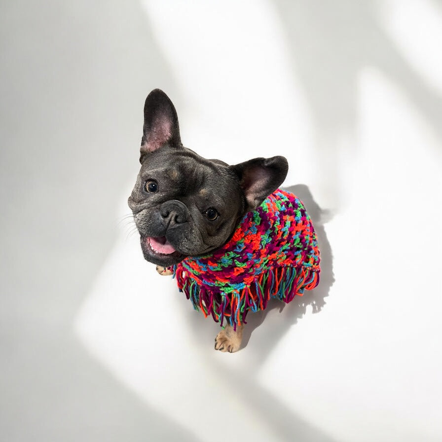 Crochet Dog Poncho - Colorful Neon