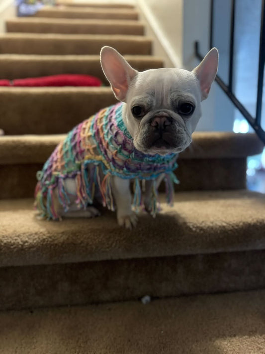 Crochet Dog Poncho - Summer Brights