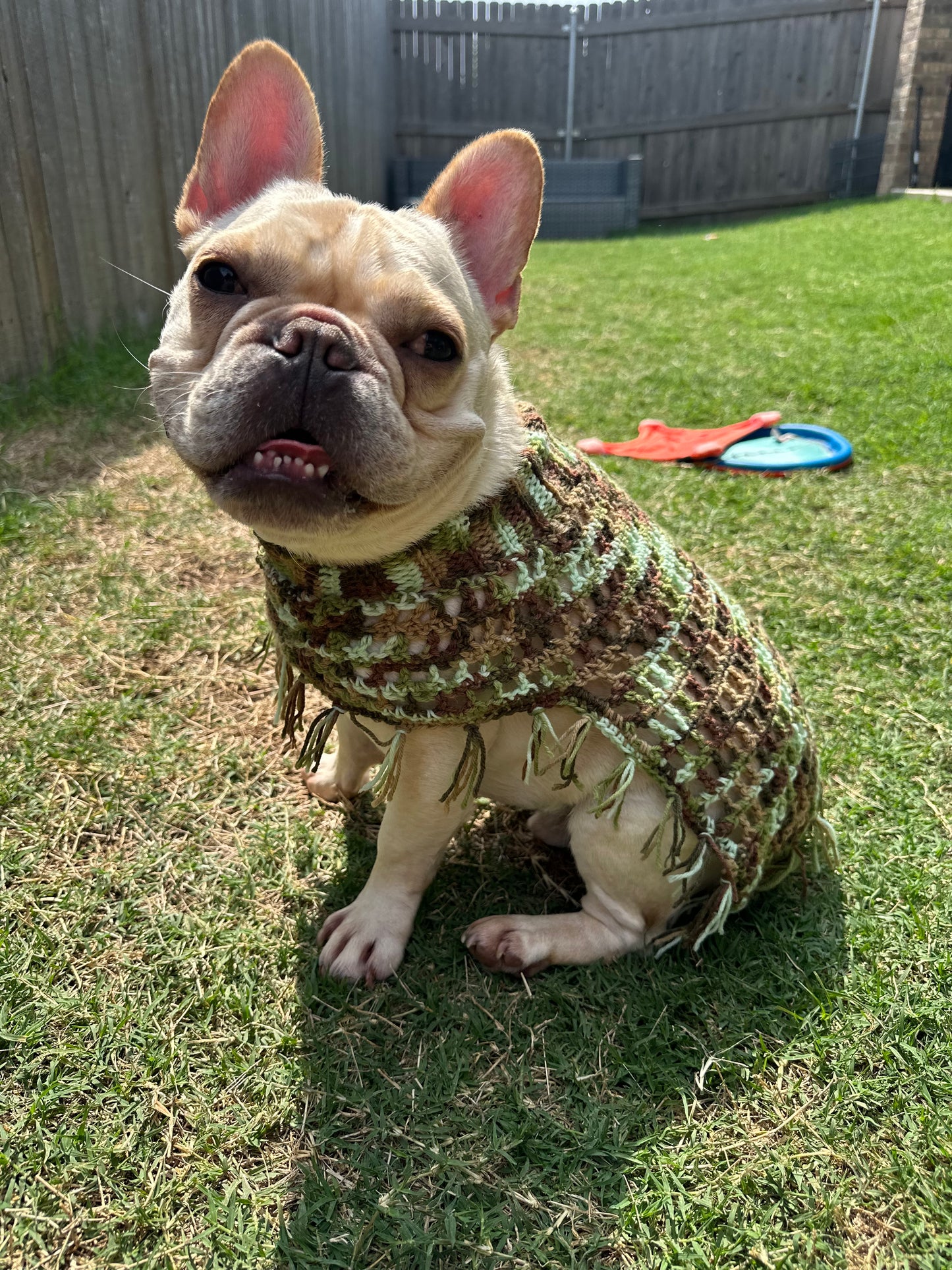 Crochet Dog Poncho - Camo
