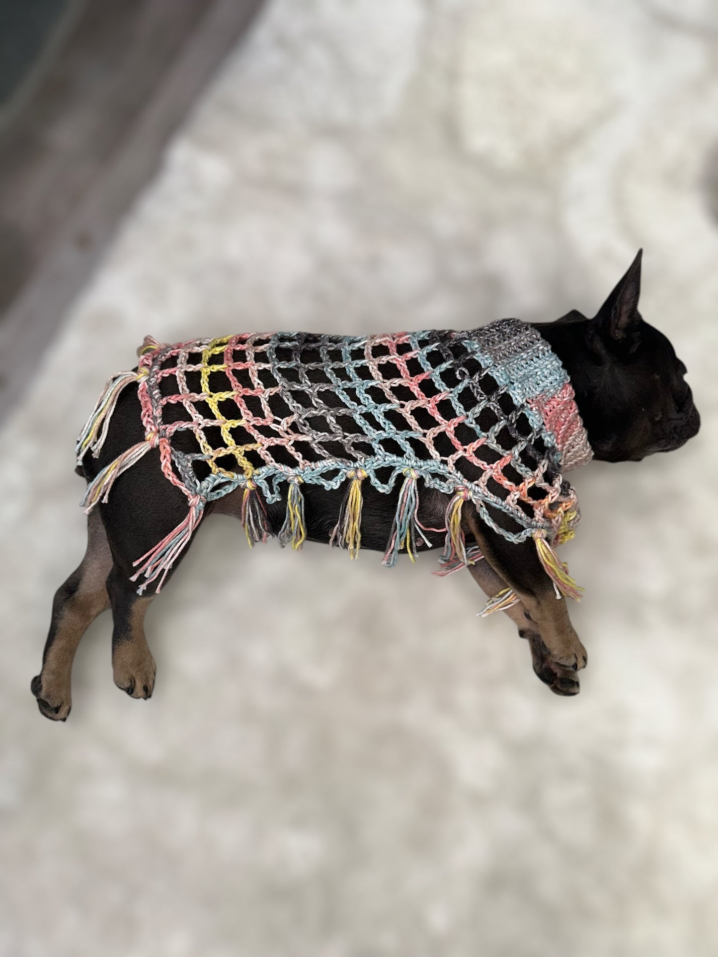 Crochet Dog Poncho - Summer Nights