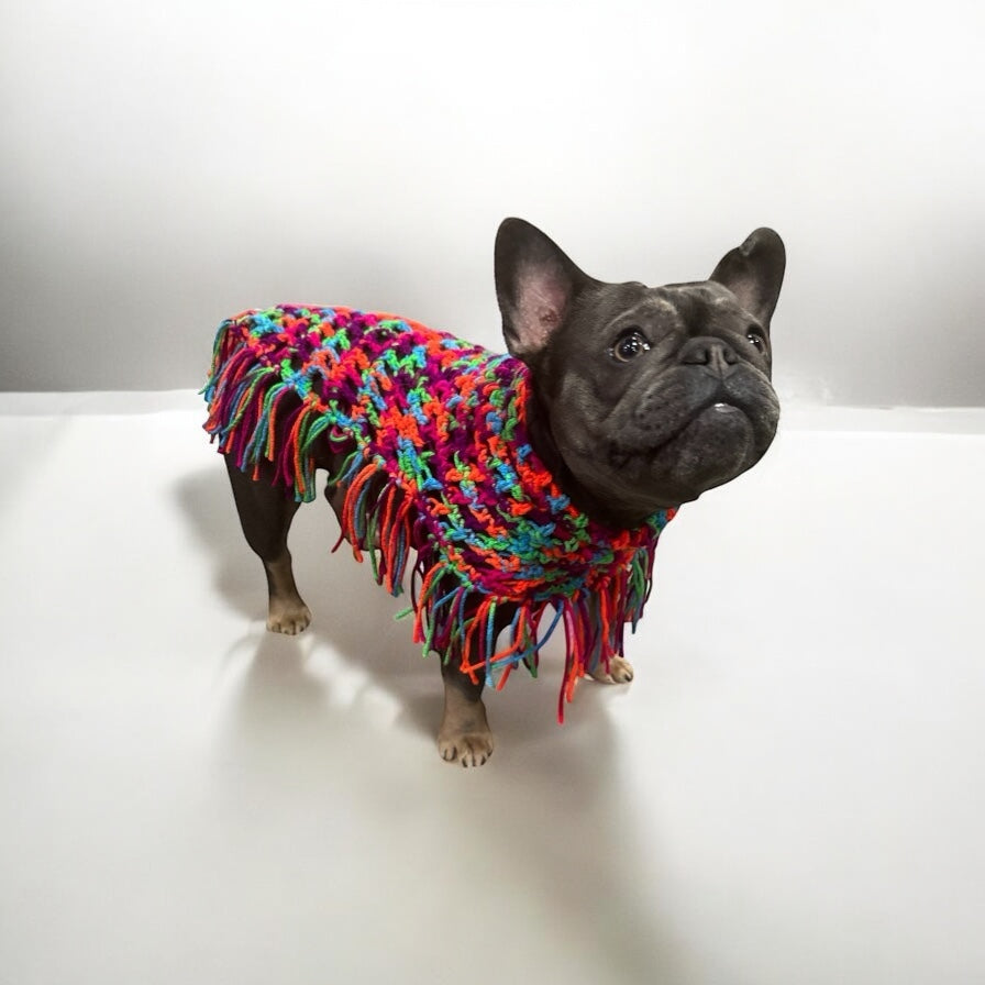 Crochet Dog Poncho - Colorful Neon