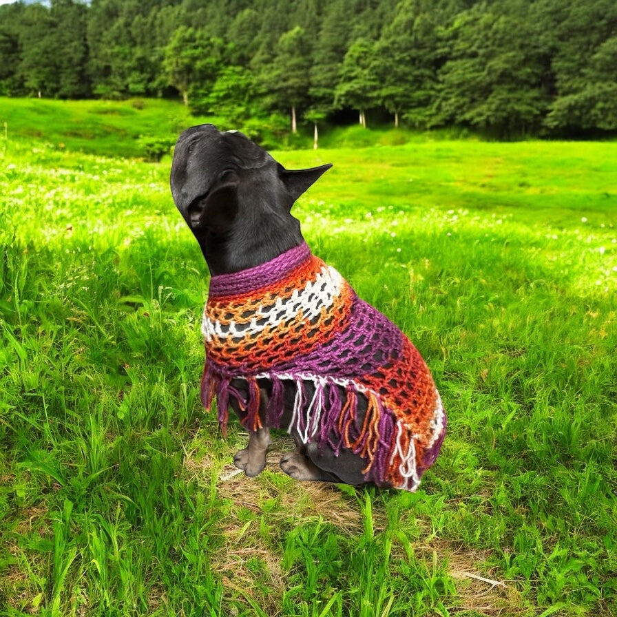 Crochet Dog Poncho - Summer Spirit