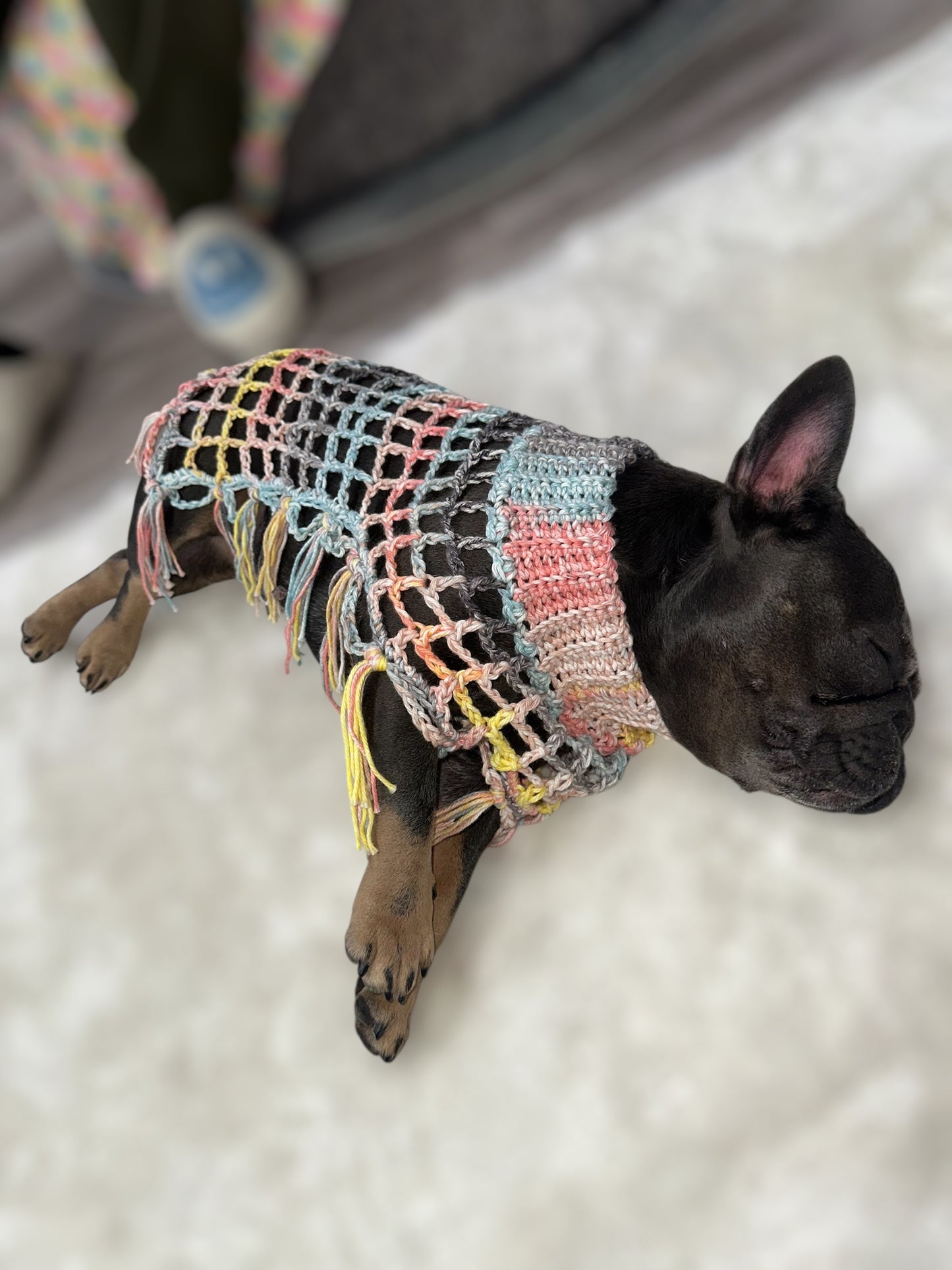 Crochet Dog Poncho - Summer Nights