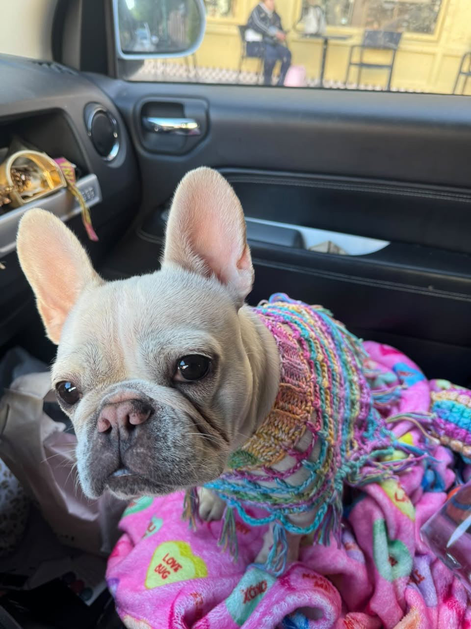 Crochet Dog Poncho - Summer Brights