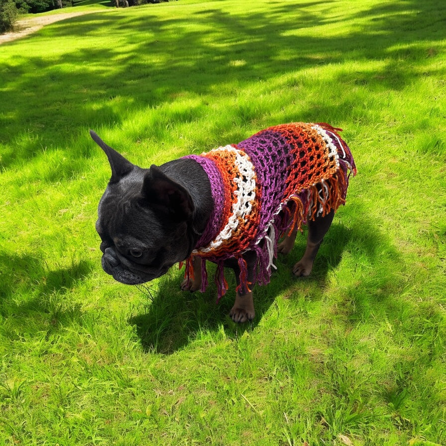Crochet Dog Poncho - Summer Spirit