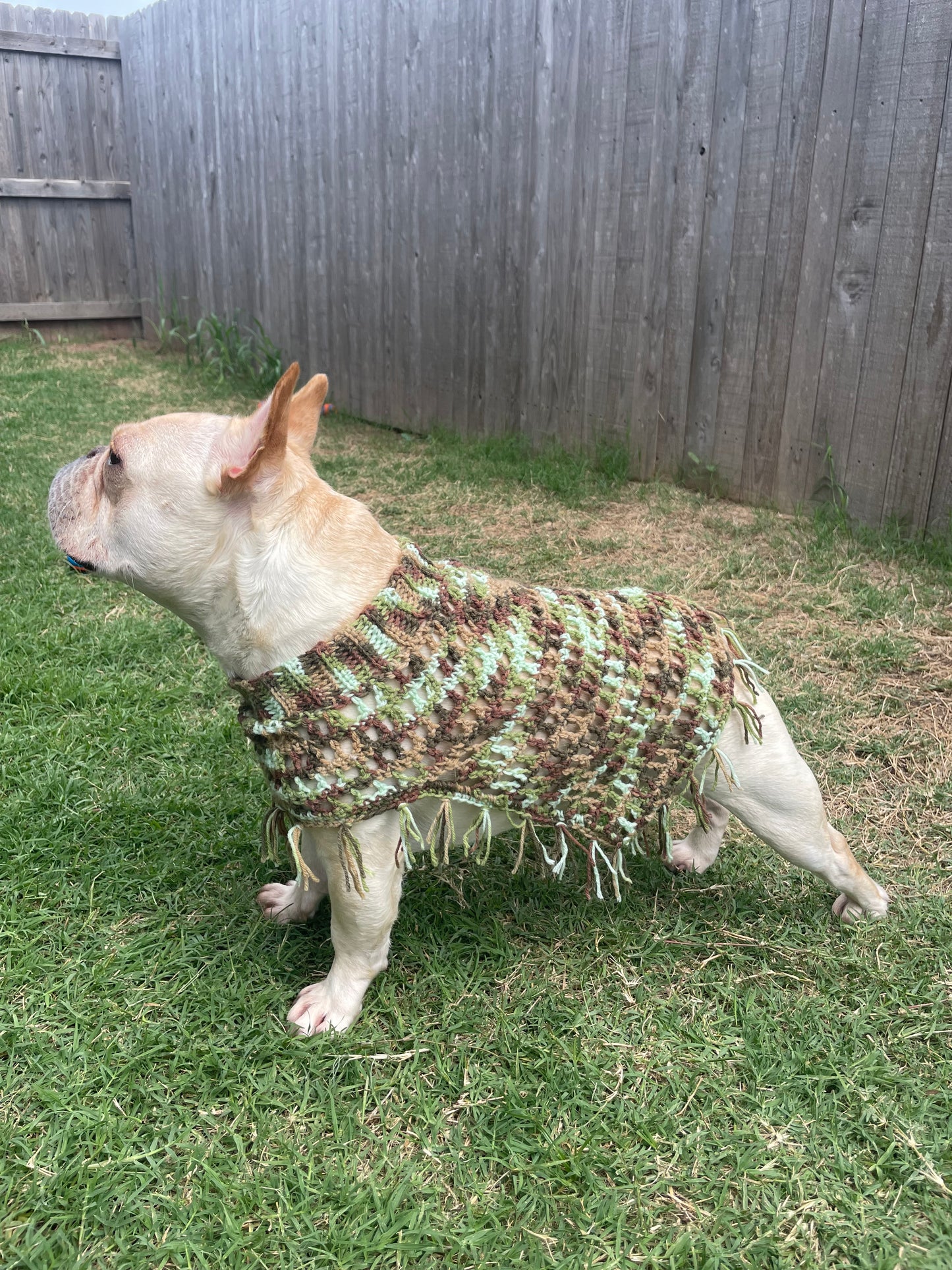 Crochet Dog Poncho - Camo