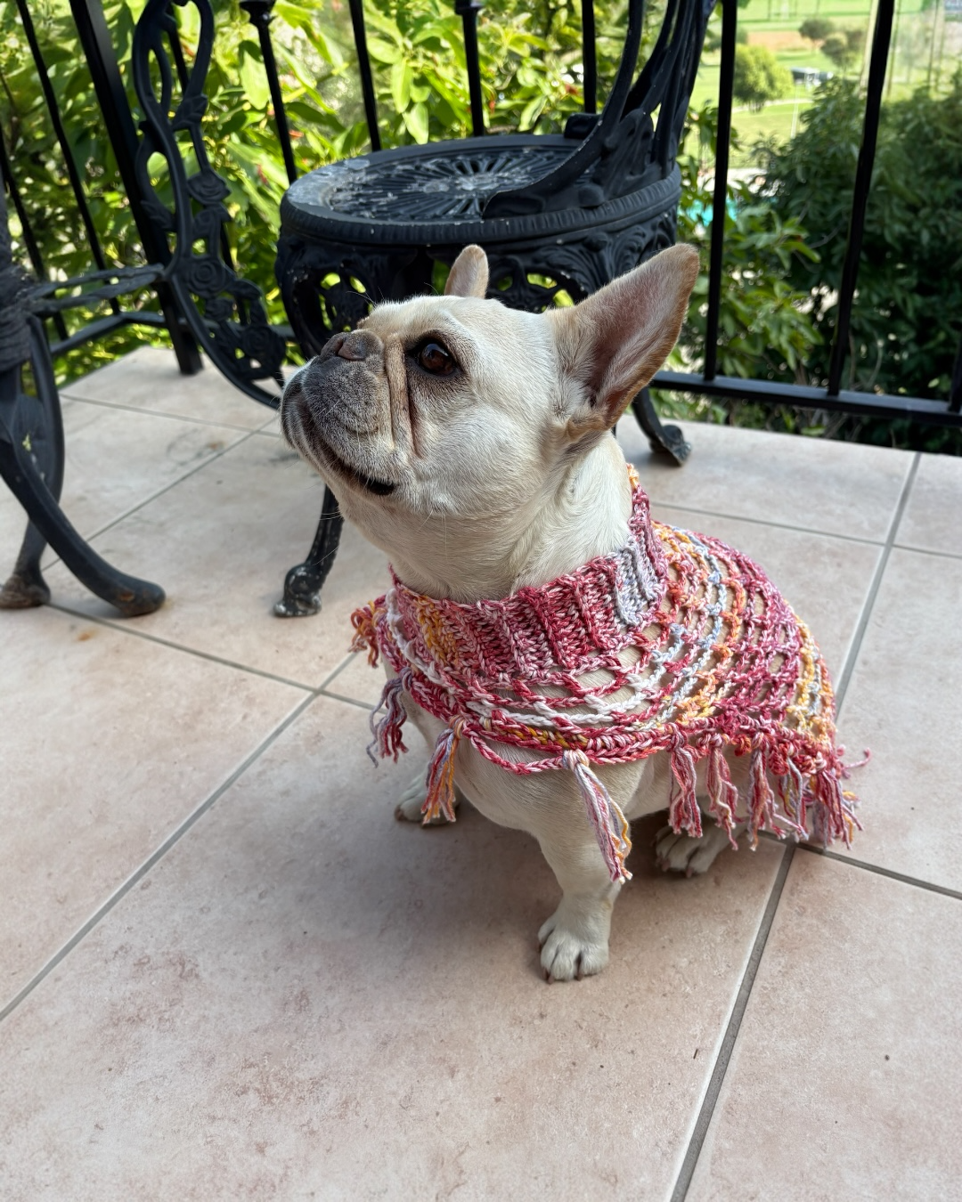 Crochet Dog Poncho - Rustic Charm