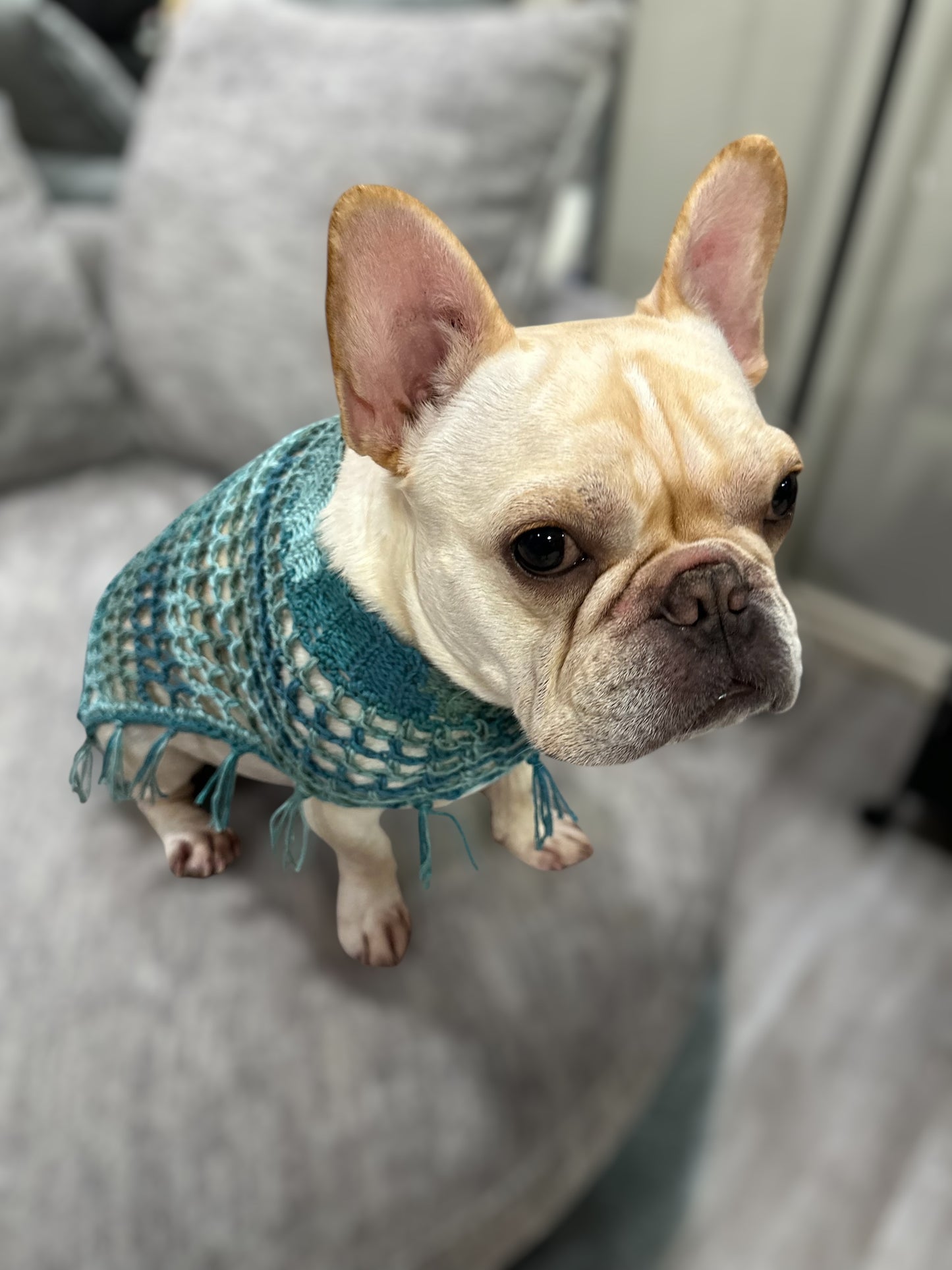 Crochet Dog Poncho - Ocean Breeze