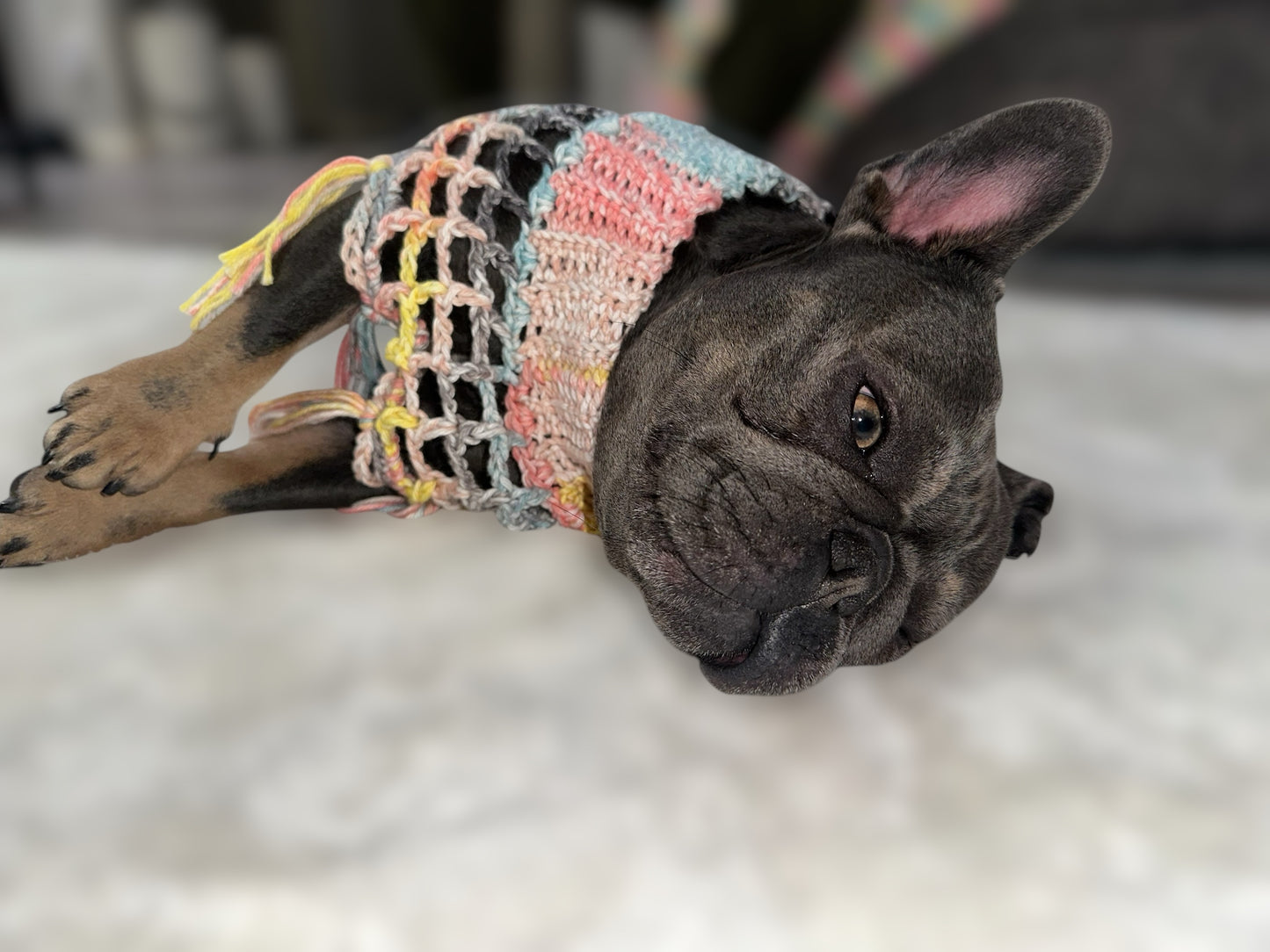 Crochet Dog Poncho - Summer Nights