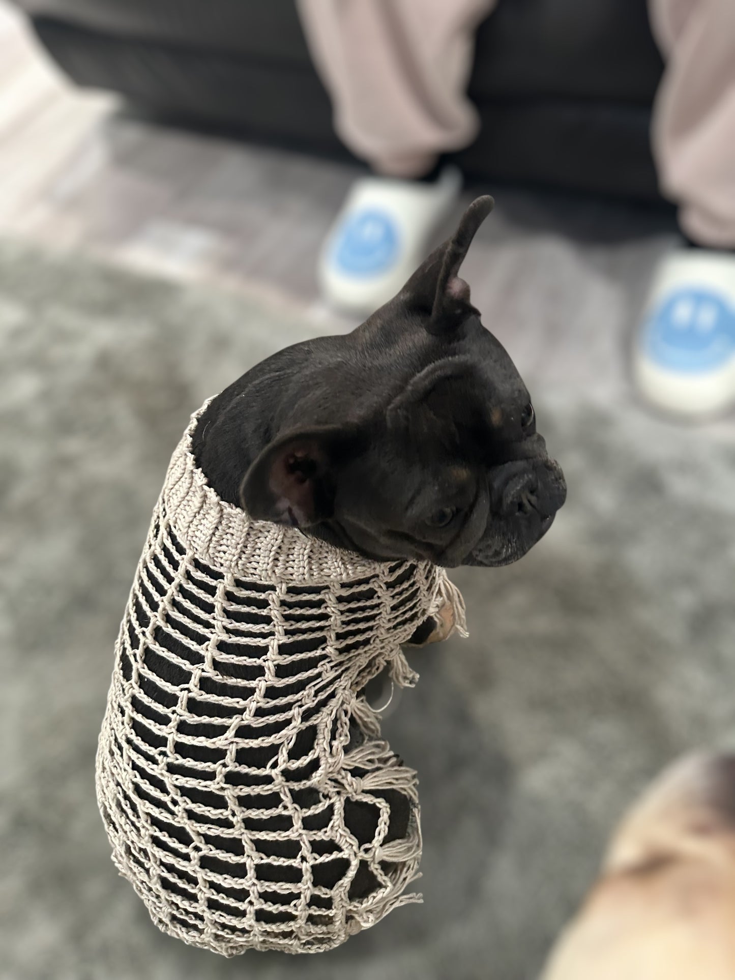 Crochet Dog Poncho - Sandy Beige