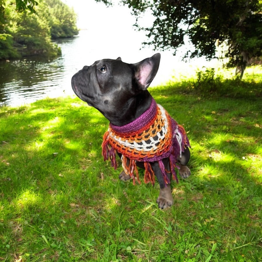 Crochet Dog Poncho - Summer Spirit