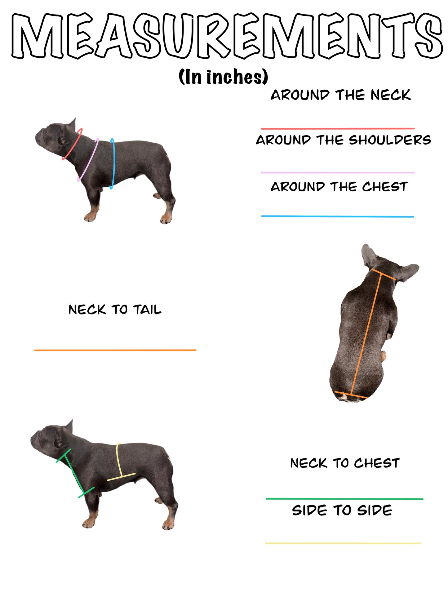 Crochet Dog Poncho - Emerald Pine