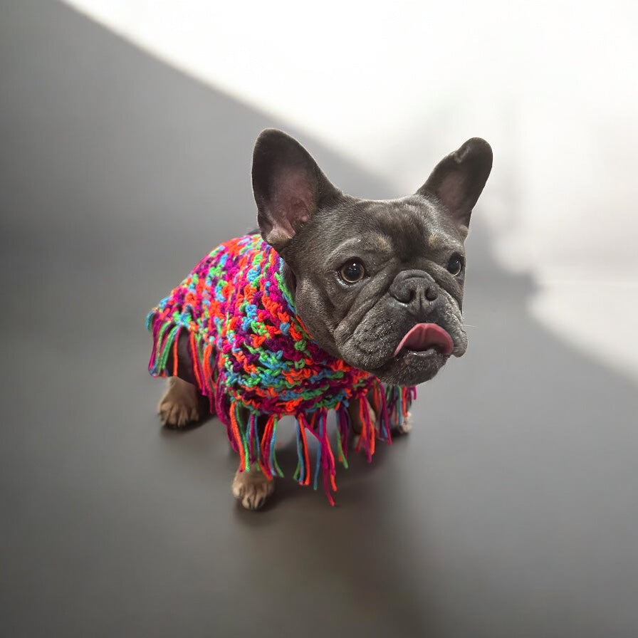 Crochet Dog Poncho - Colorful Neon