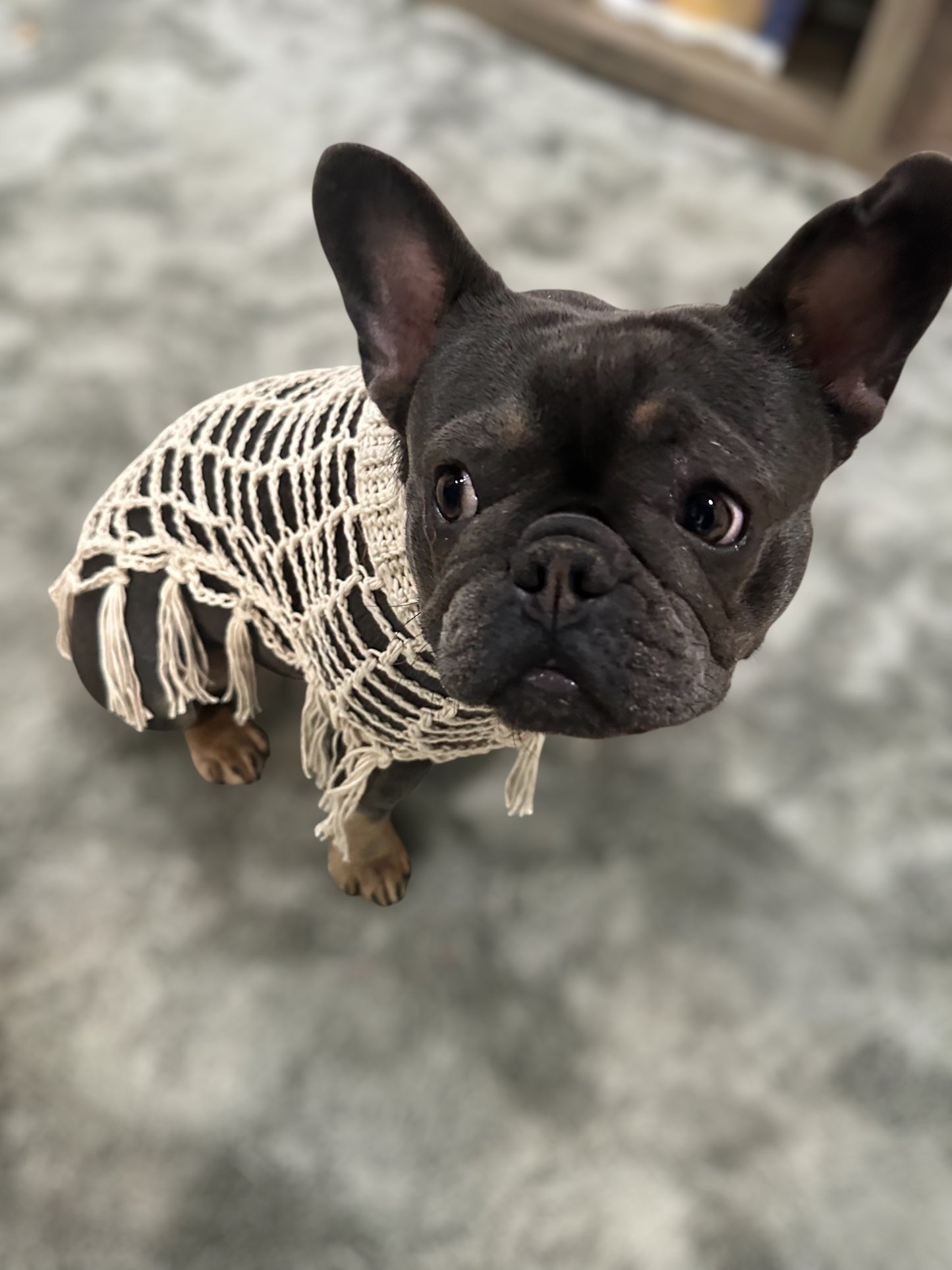 Crochet Dog Poncho - Sandy Beige