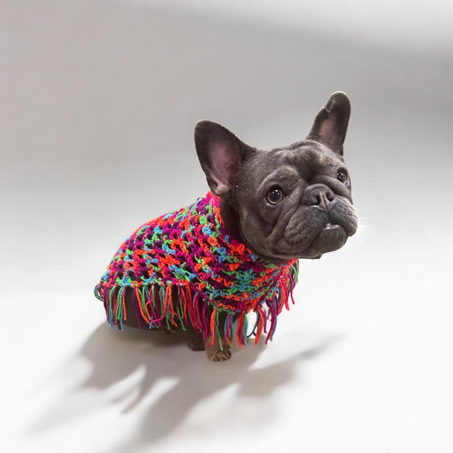 Crochet Dog Poncho - Colorful Neon