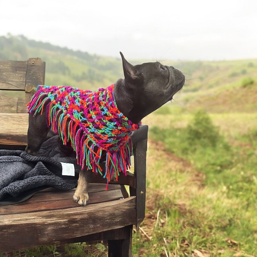 Crochet Dog Poncho - Colorful Neon