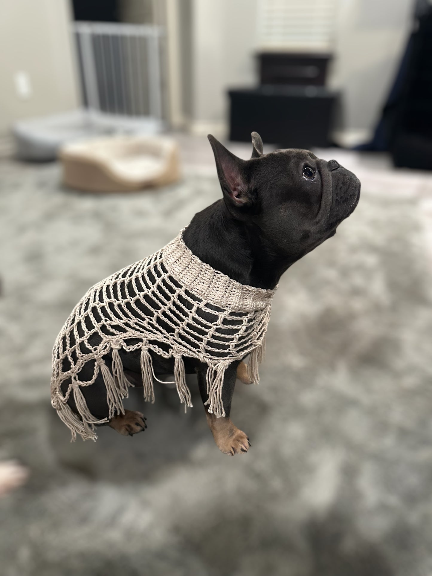 Crochet Dog Poncho - Sandy Beige