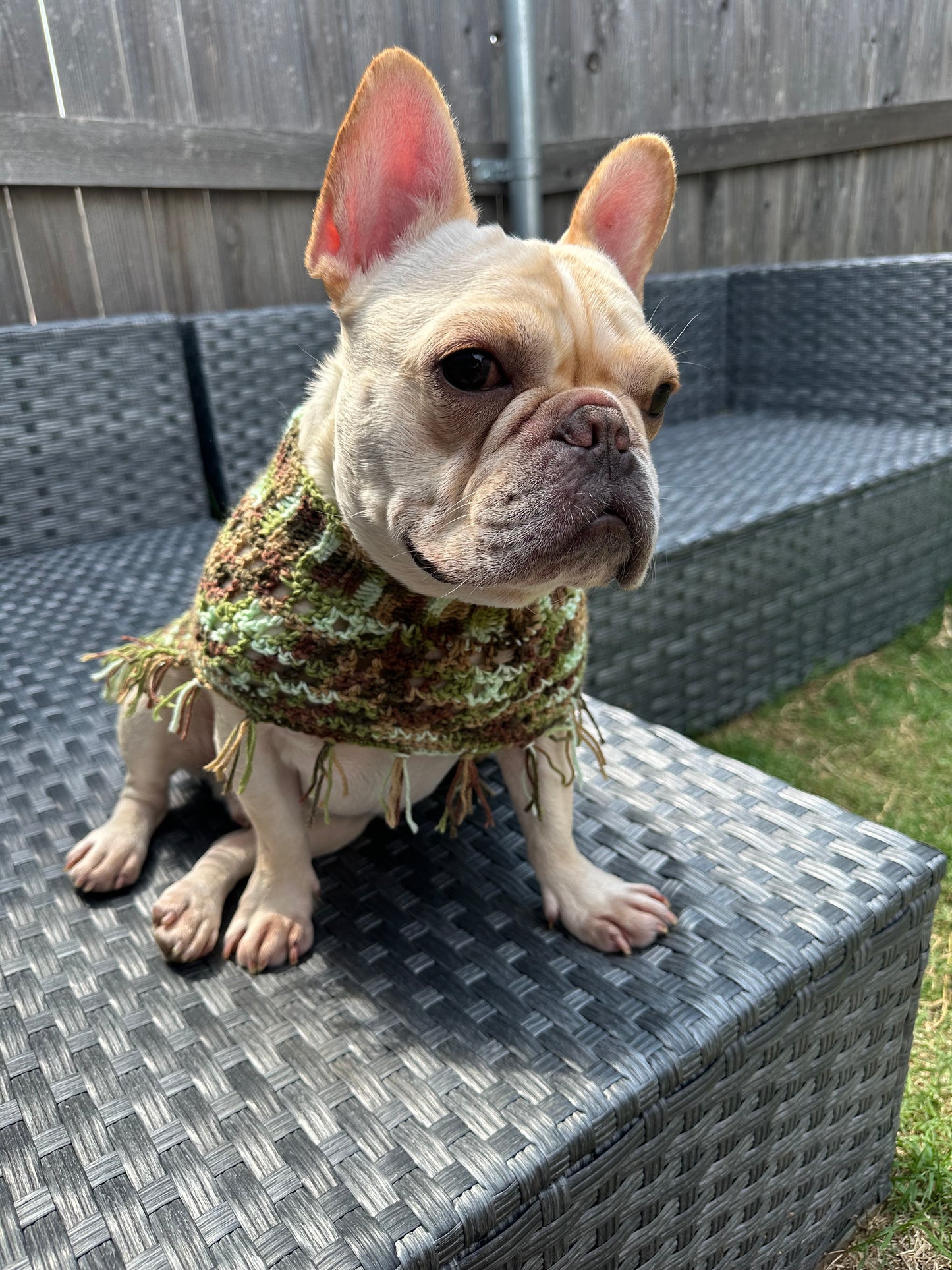 Crochet Dog Poncho - Camo