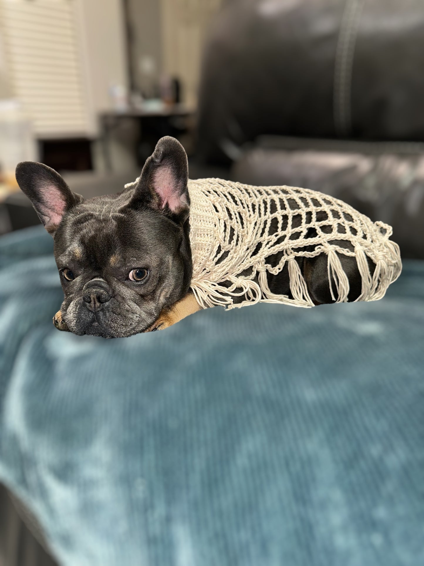 Crochet Dog Poncho - Sandy Beige