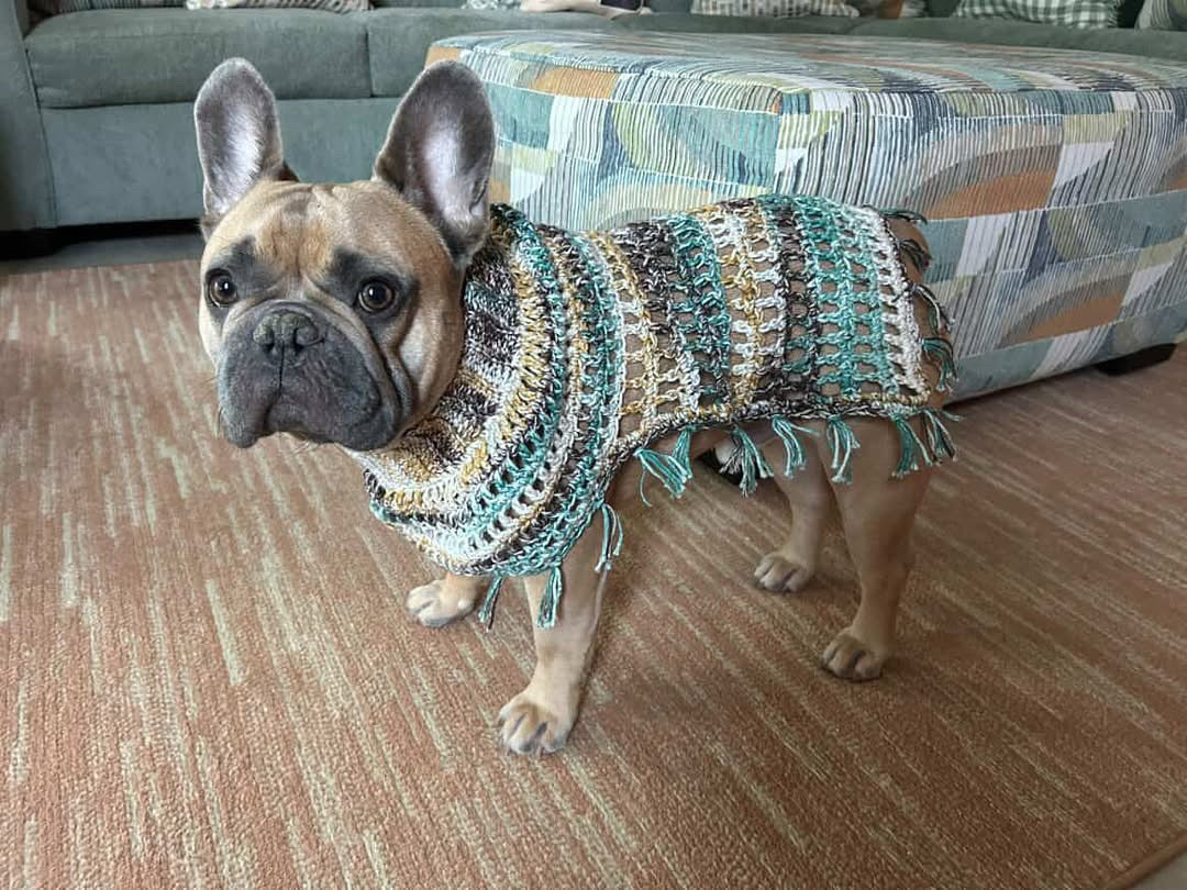 Crochet Dog Poncho - Emerald Pine