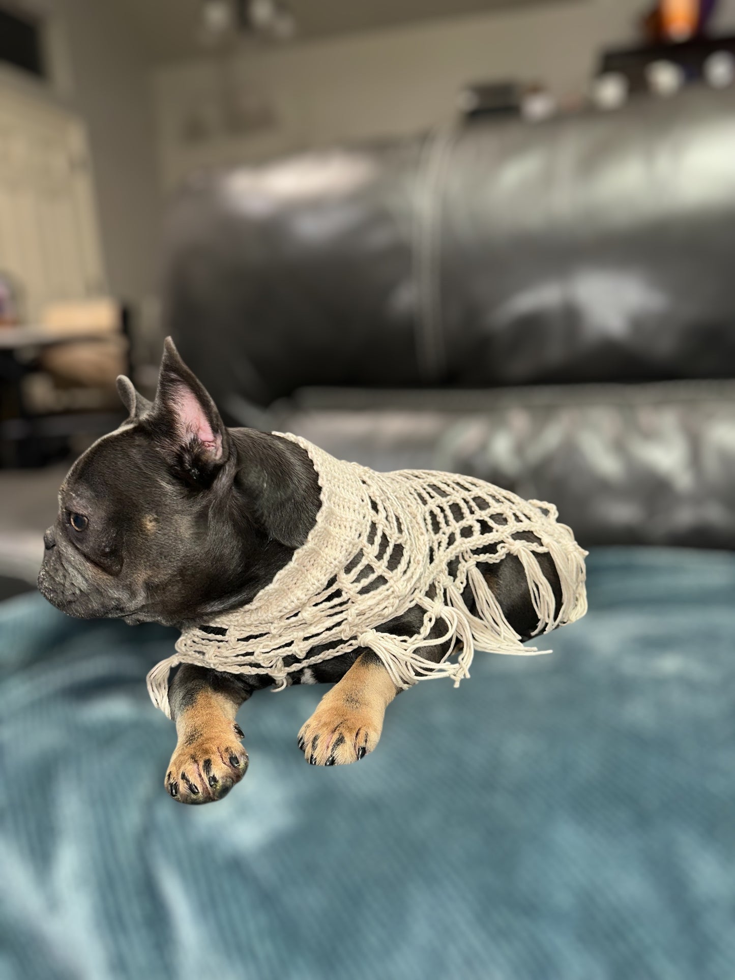 Crochet Dog Poncho - Sandy Beige